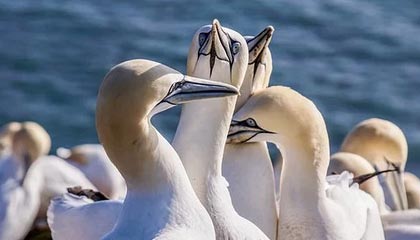 B体育中国内陆官方网站-赛事转播技术升级，虚拟现实带来沉浸式体验，转播赛事可以收费吗