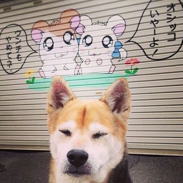 《电竞赛事志愿者:成为比赛背后的英雄》,电竞比赛内容是什么