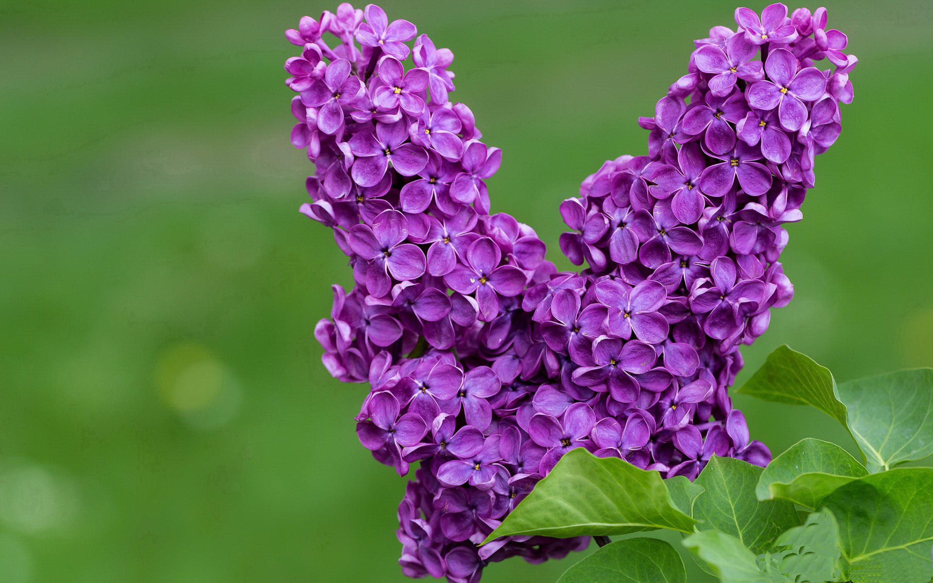 以科技助力中国篮球发展,探索智慧体育新时代,以科技助力中国篮球发展,探索智慧体育新时代