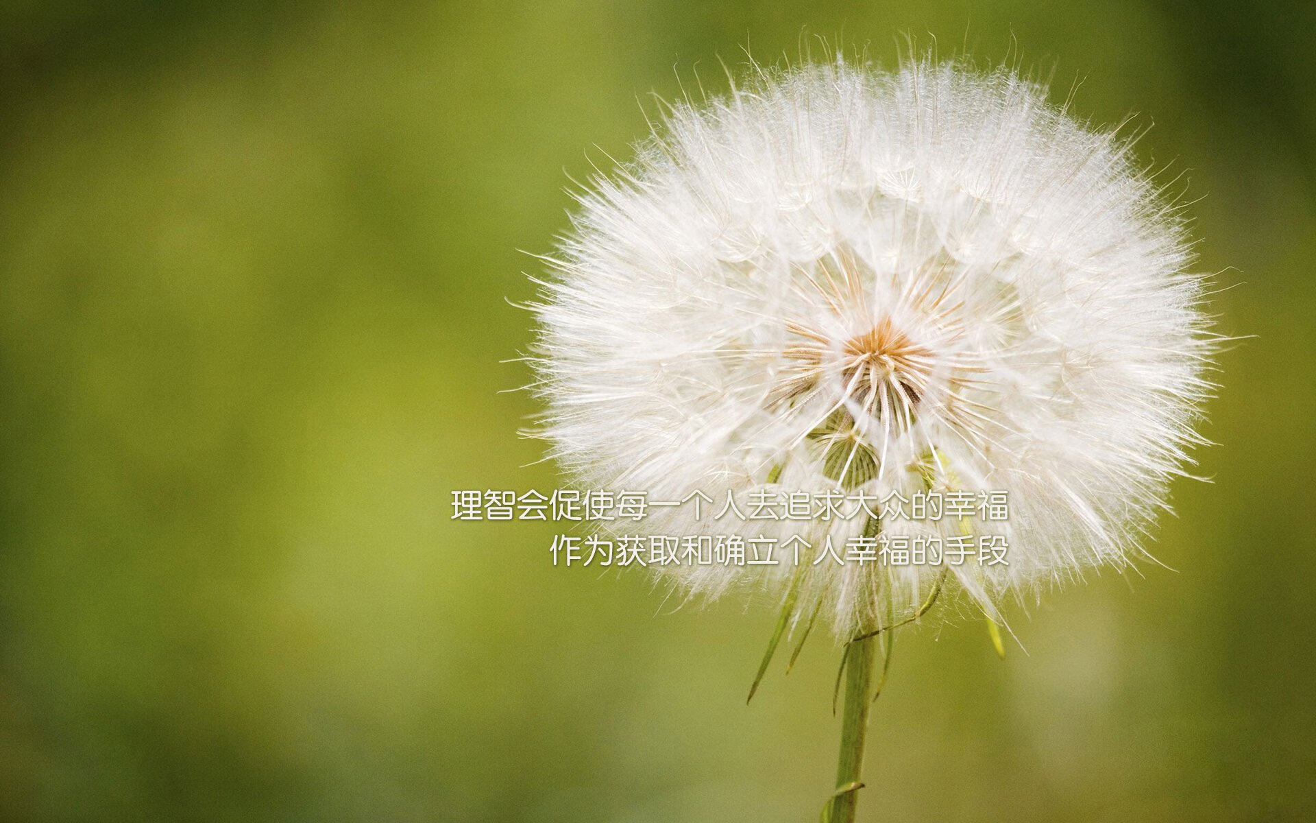 b体育平台-巴西举办篮球文化节，巴西篮协