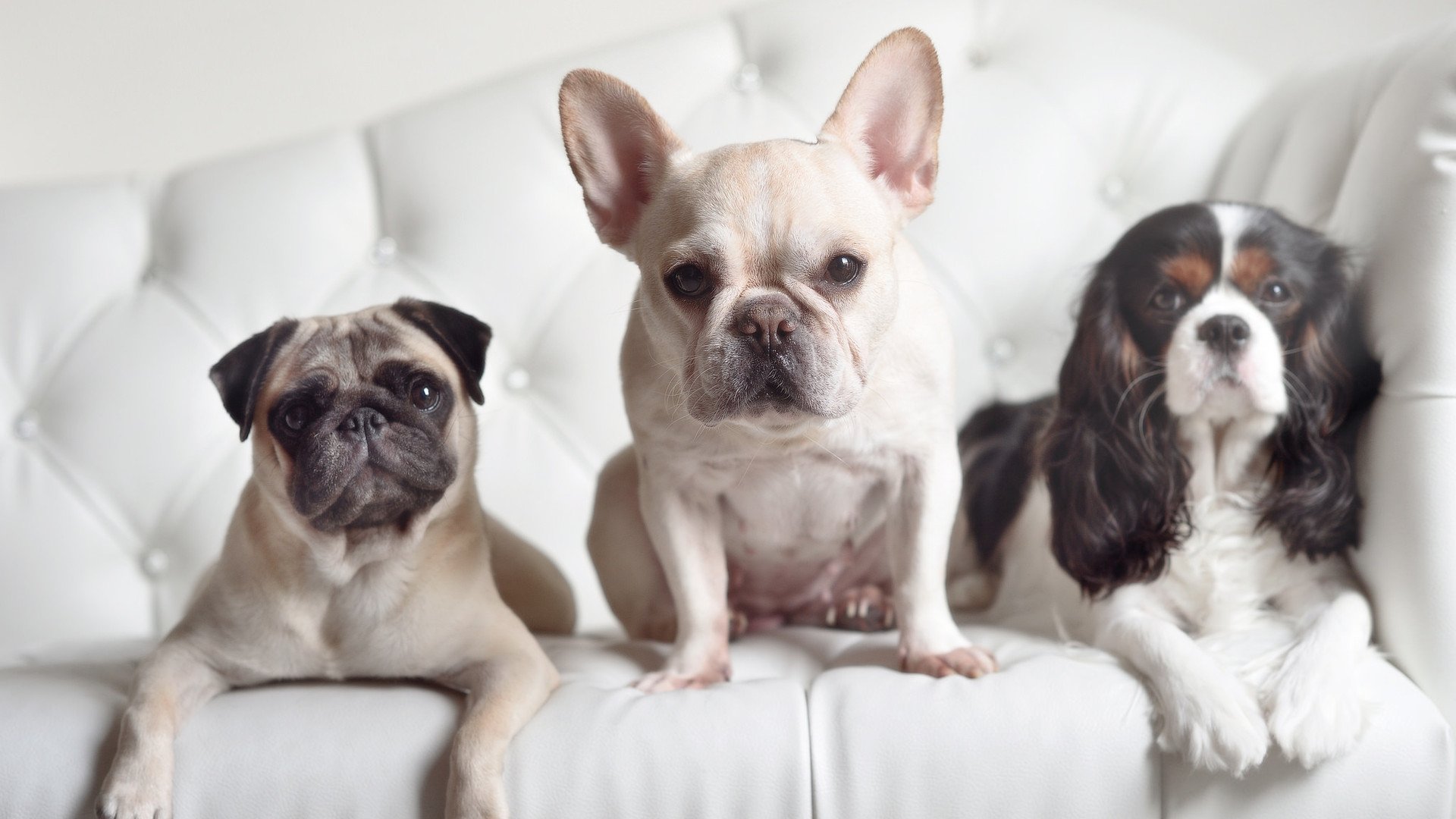 BSPORT 官网-篮球职业联赛品牌建设持续推进，知名篮球联赛