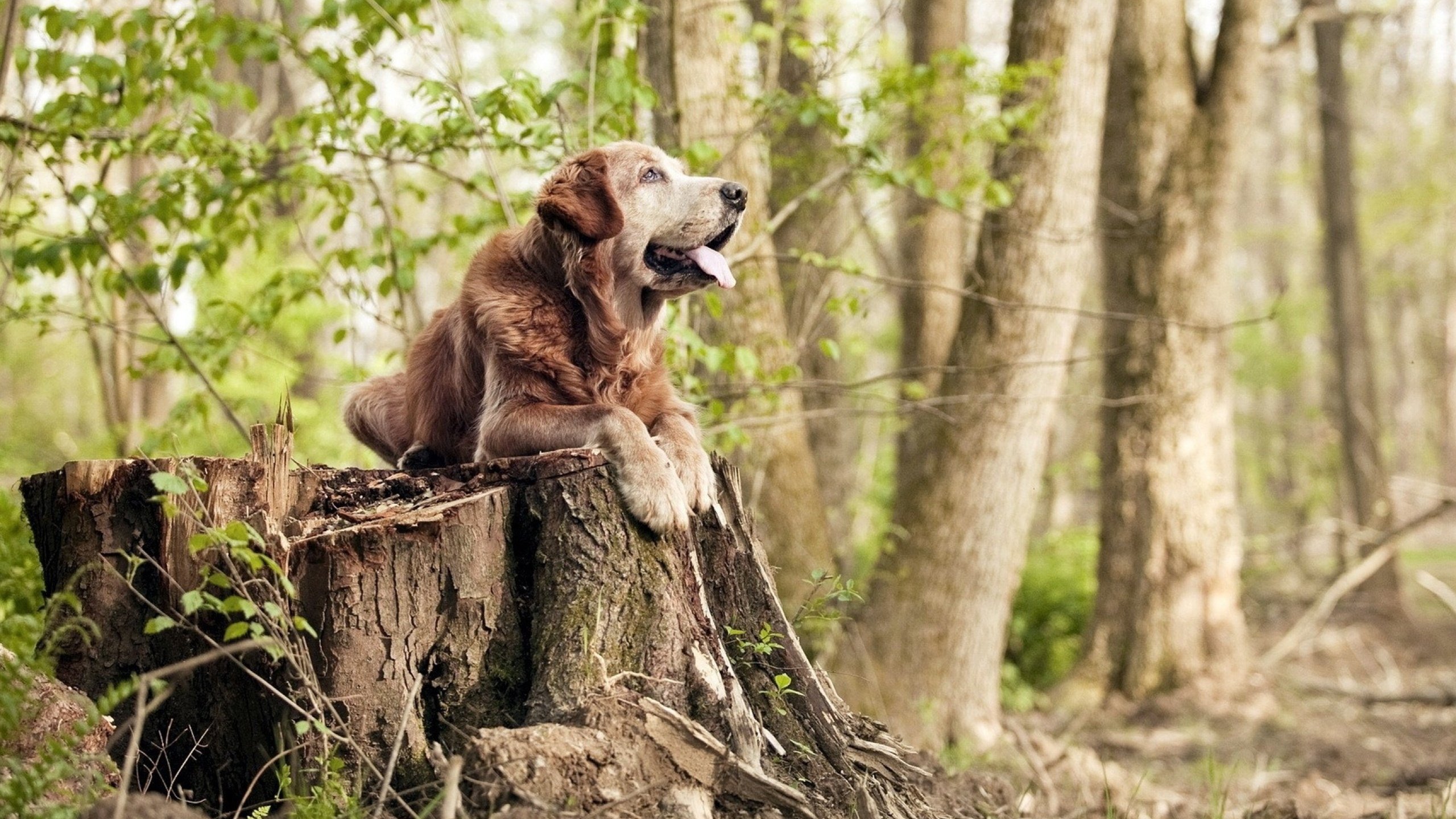 运动员职业规划暨转型培训会在北京成功举办，职业运动员训练计划