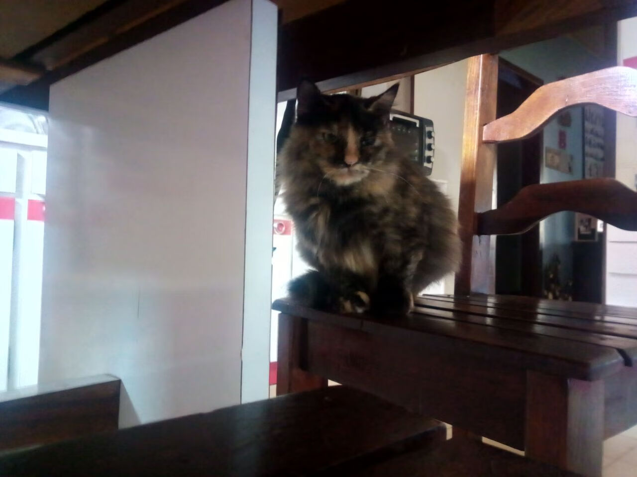 bsport-青少年足球“智慧培养”模式在全国推广，科技助力成效显著，青少年足球信息管理系统