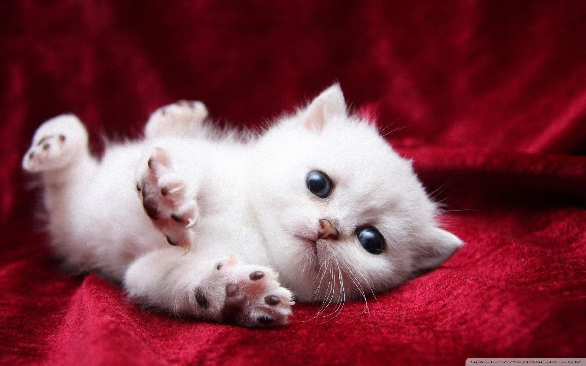 中国男足小组赛全胜,强势晋级淘汰赛,中国男足小组出线