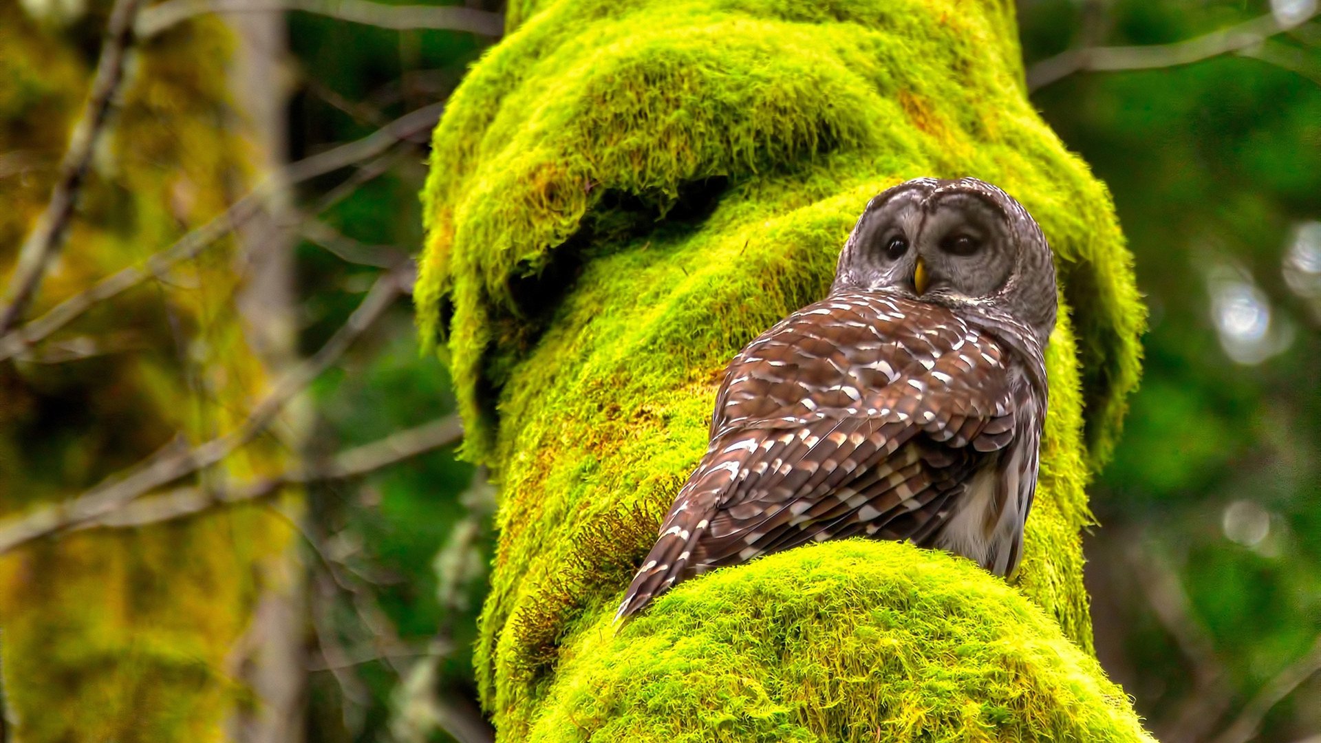 中国男足热身赛战平伊拉克，前锋线表现欠佳，中国男足 伊拉克