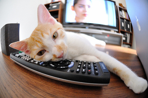 巴塞罗那惨败被淘汰,门兴晋级八强,巴塞罗那的门将叫什么名字