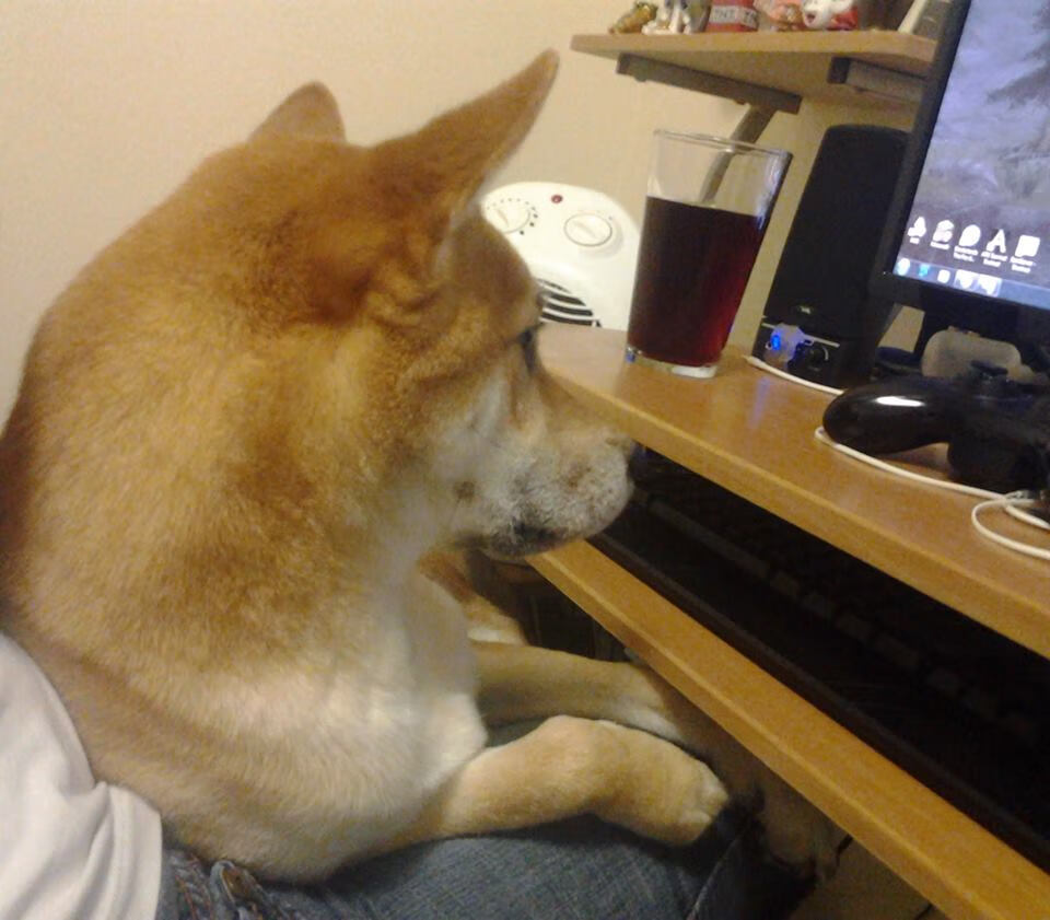 B体育APP下载网址-德国大国足险胜摩尔多瓦，向前进发出强烈信号，德国踢足球