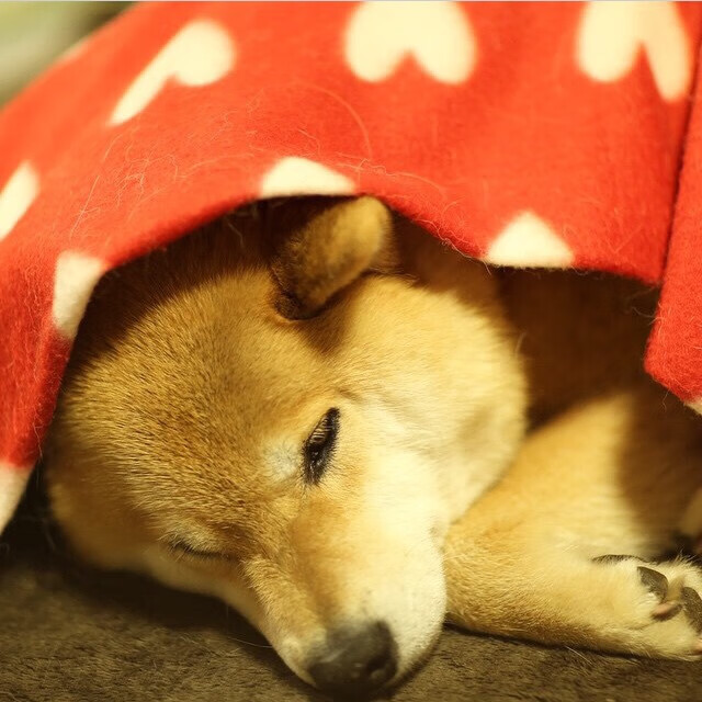 B 体育官网-球员是否应协助联盟推动平权教育，球员就应该在