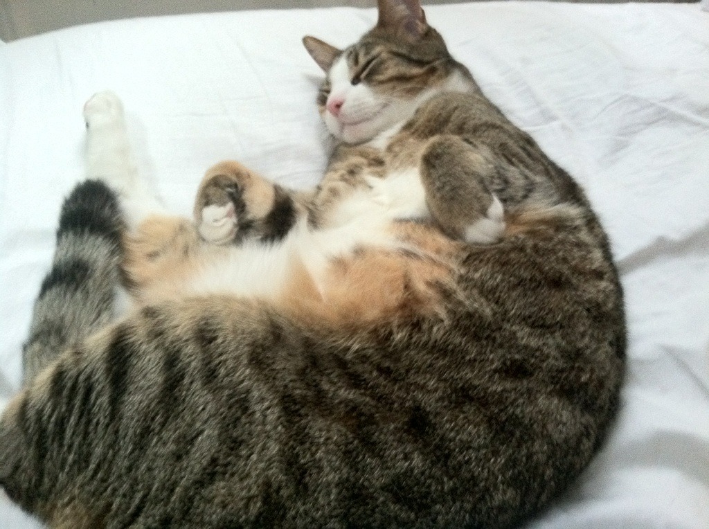 B体育(CHINA)官方网站-男篮世预赛开门红，赵睿三分连发锁定胜局，赵睿男篮世界杯