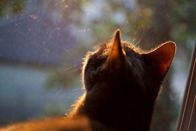 b体育官方网站-登贝莱加盟巴塞罗那，登贝莱踢飞巴萨欧冠