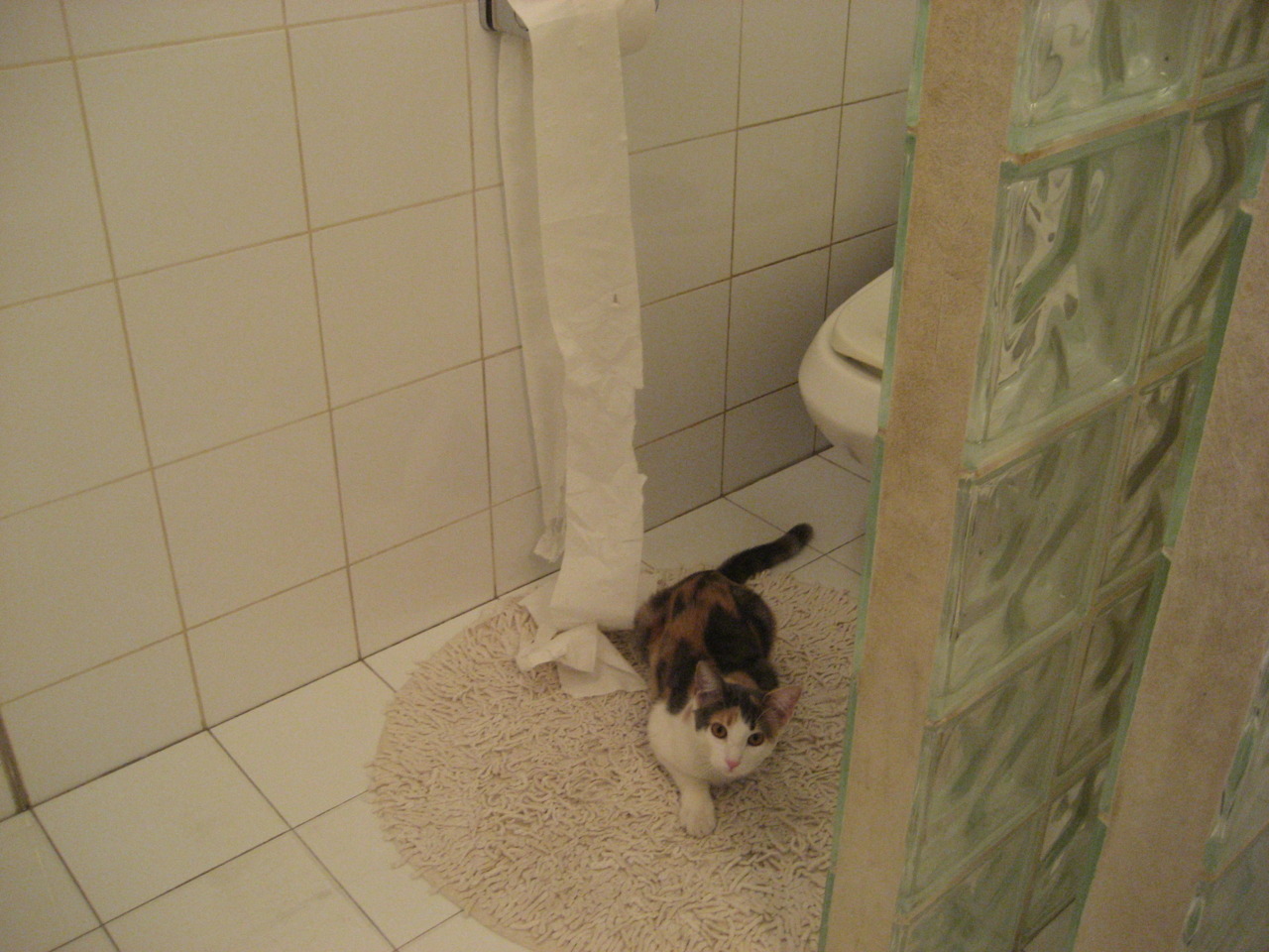 纽卡斯尔联客场战胜伍尔弗汉晋升英超排名,纽卡斯尔联队拿过英超冠军吗