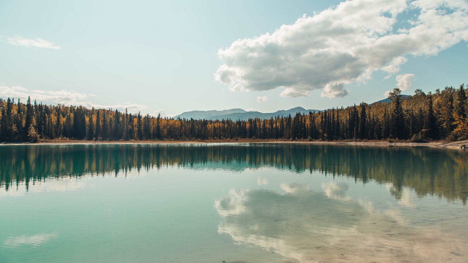 世界高校体育联赛中国队表现抢眼，高校体育排行榜