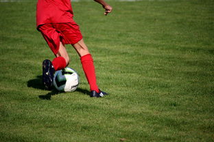 BSPORT 官网-内线球员在快节奏体系下的功能性演变，内线球员的主要作用