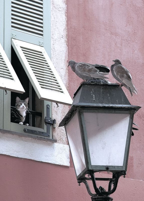 B 体育官网-换帅后的防线是否能迅速稳定提升对抗强度，中途换帅