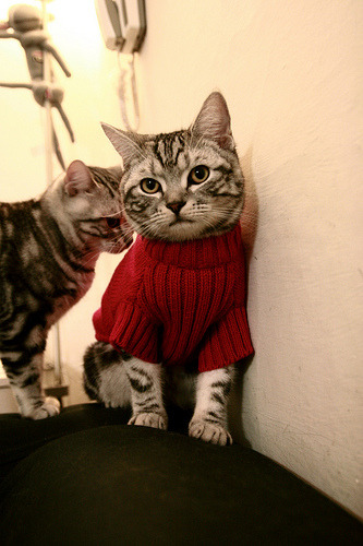 B体育亚洲官方网站-新加坡队的未来愿景：通过加强国际比赛经验提升竞技状态，新加坡国家队