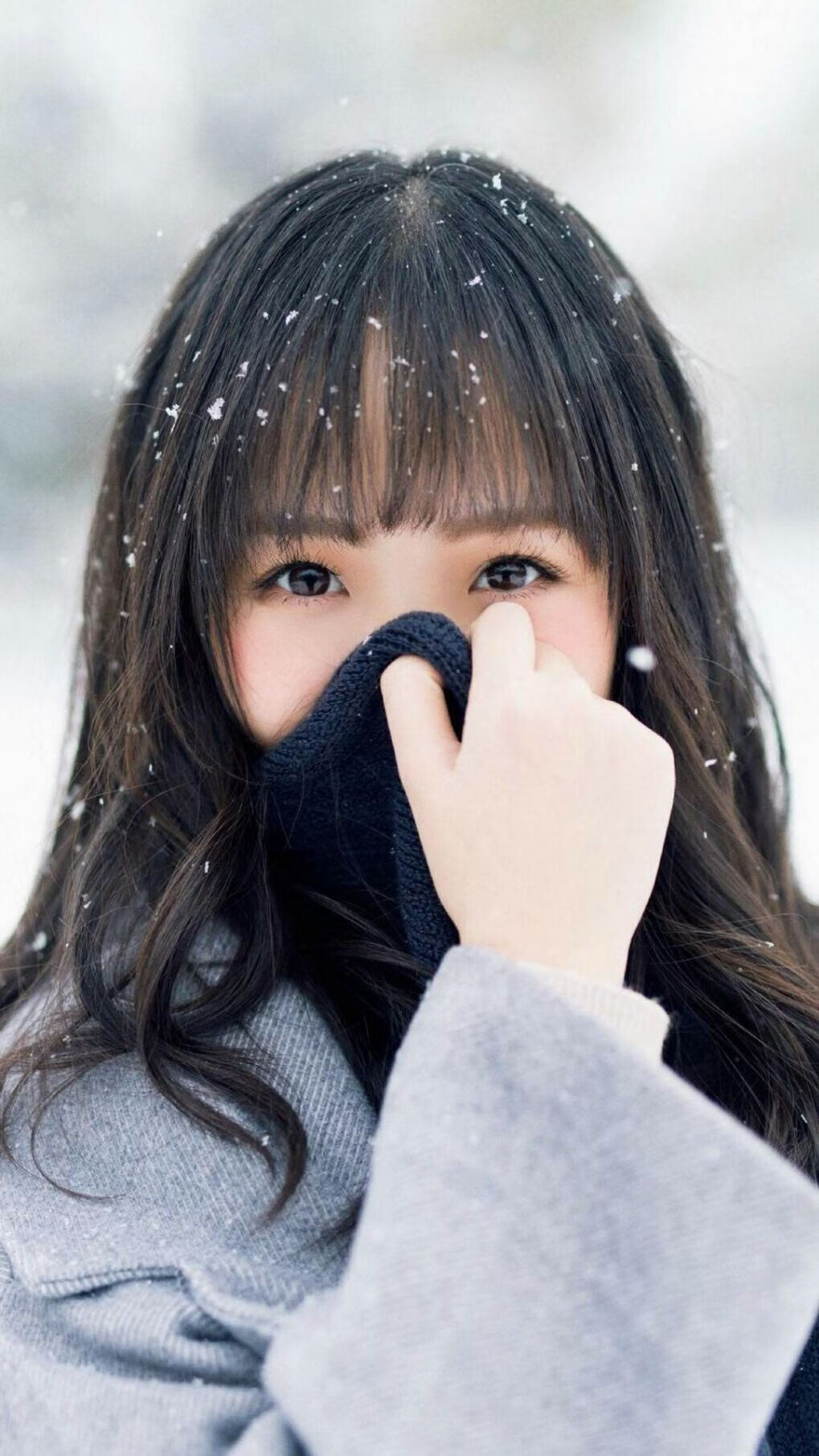 男子自由泳再破全国纪录,男子自由泳名将