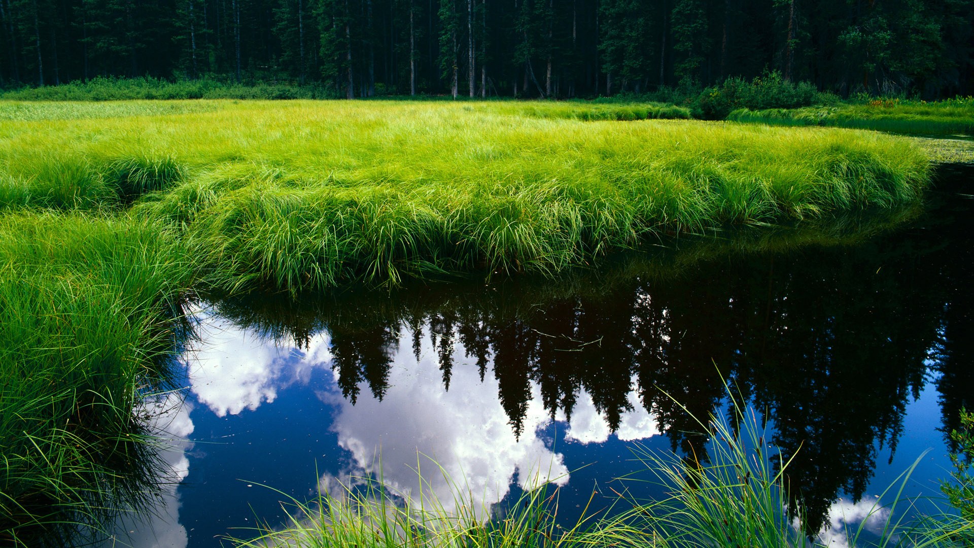 赫罗纳精准长传打穿对手防线,赫罗纳队服