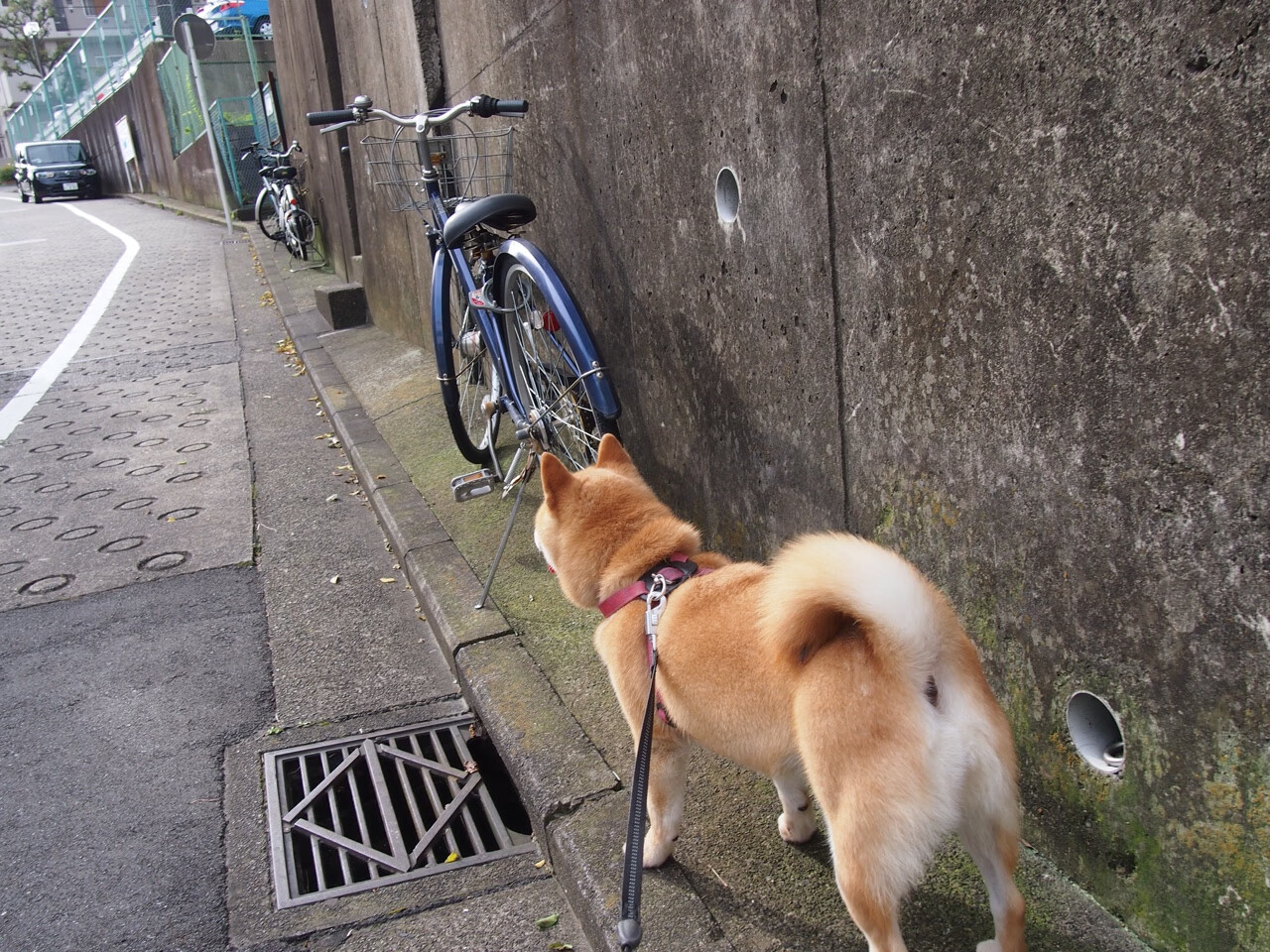 朱婷称奥运目标只有一个就是金牌,朱婷奥运会夺冠时刻