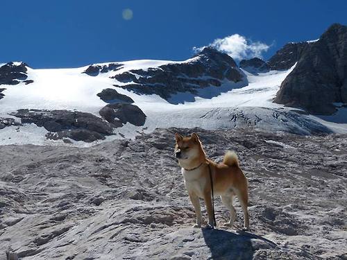 B体育中国官方平台-西甲激情四溢：奋勇突击，精彩不断！，西甲经典比赛